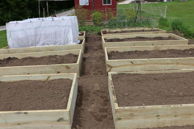 Transitioning to raised beds.