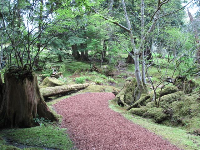 The Moss Garden