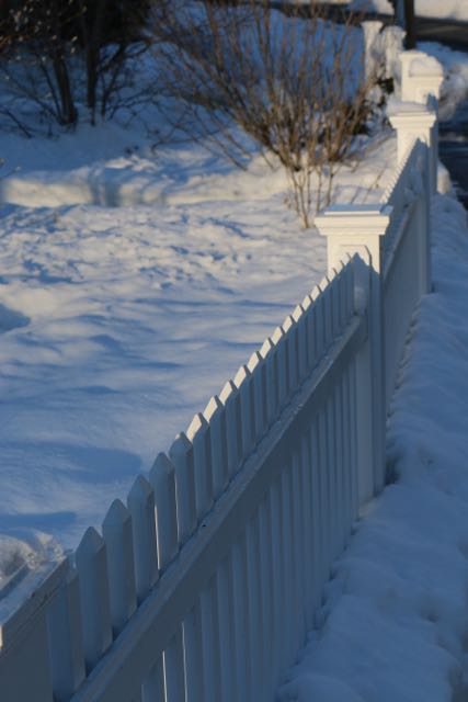 Picket Fence