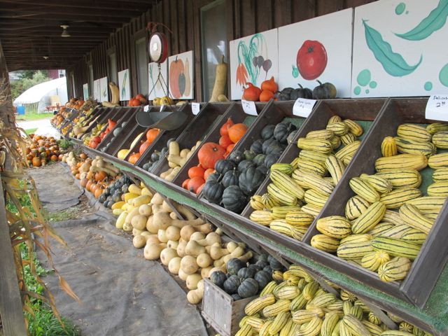 winter squash, fall vegetables