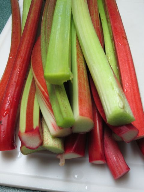 Last rhubarb harvest.