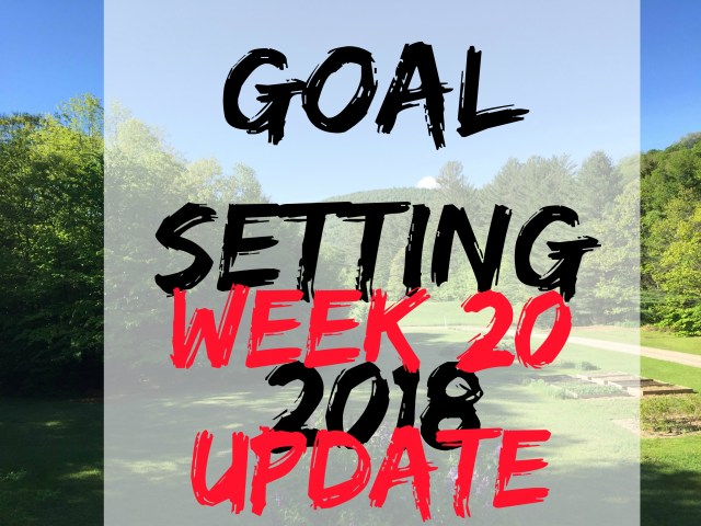 goal setting spring 20