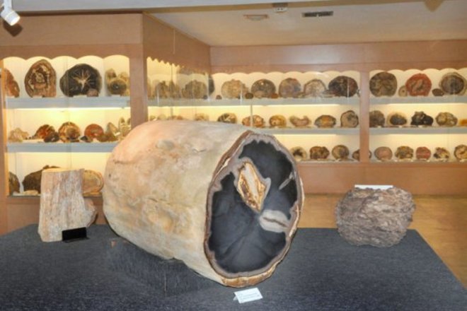 Goal setting is not easy when you have a busy week!