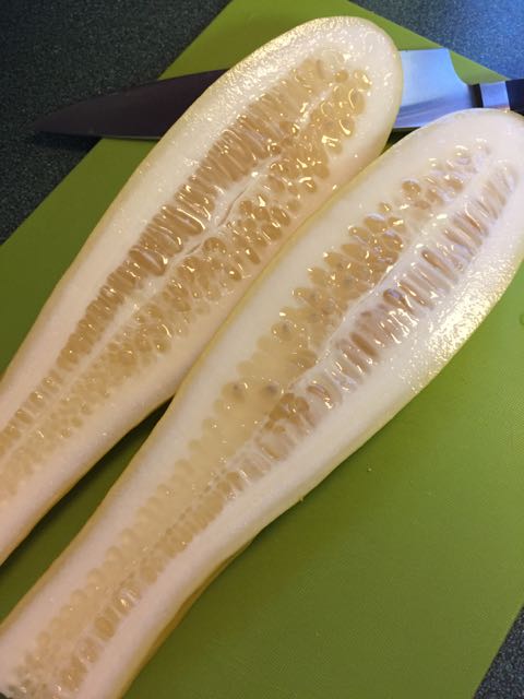 saving cucumber seeds