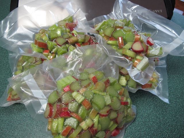 Rhubarb for the freezer, first harvest