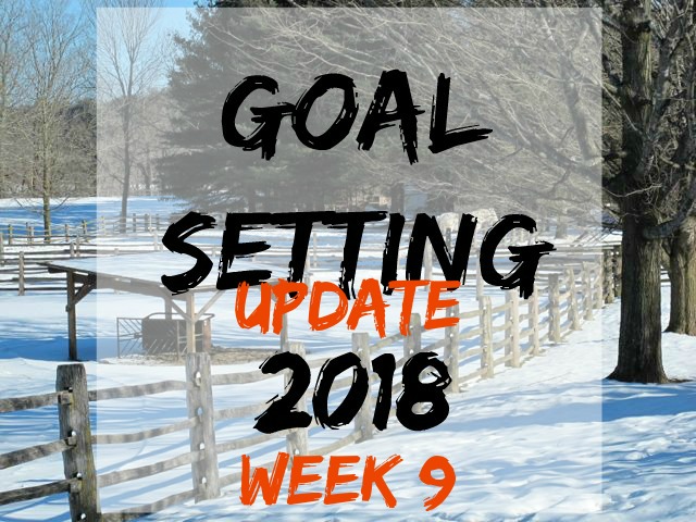 goal-setting 9