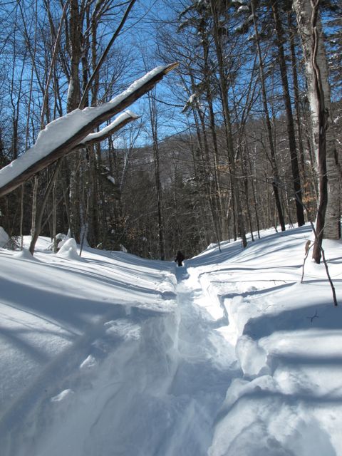 Snowshoeing through the woods.