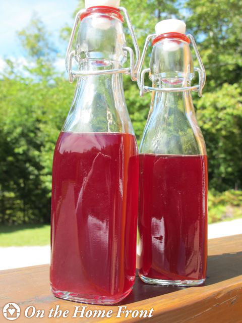 Bottled Blueberry Vinegar