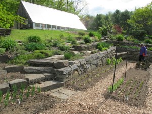 Greenhouse greenhouse, season extender