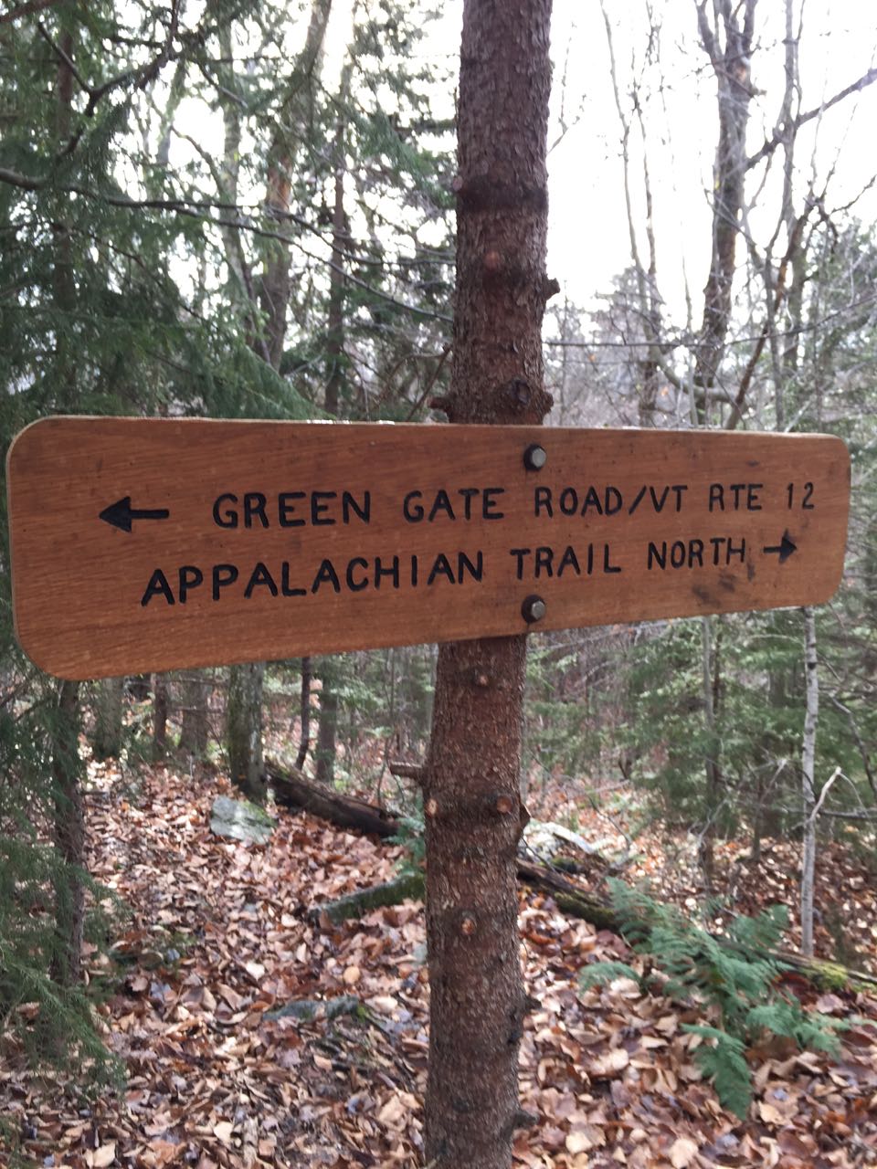 hiking during hunting season