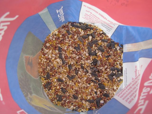 Treats for the birds