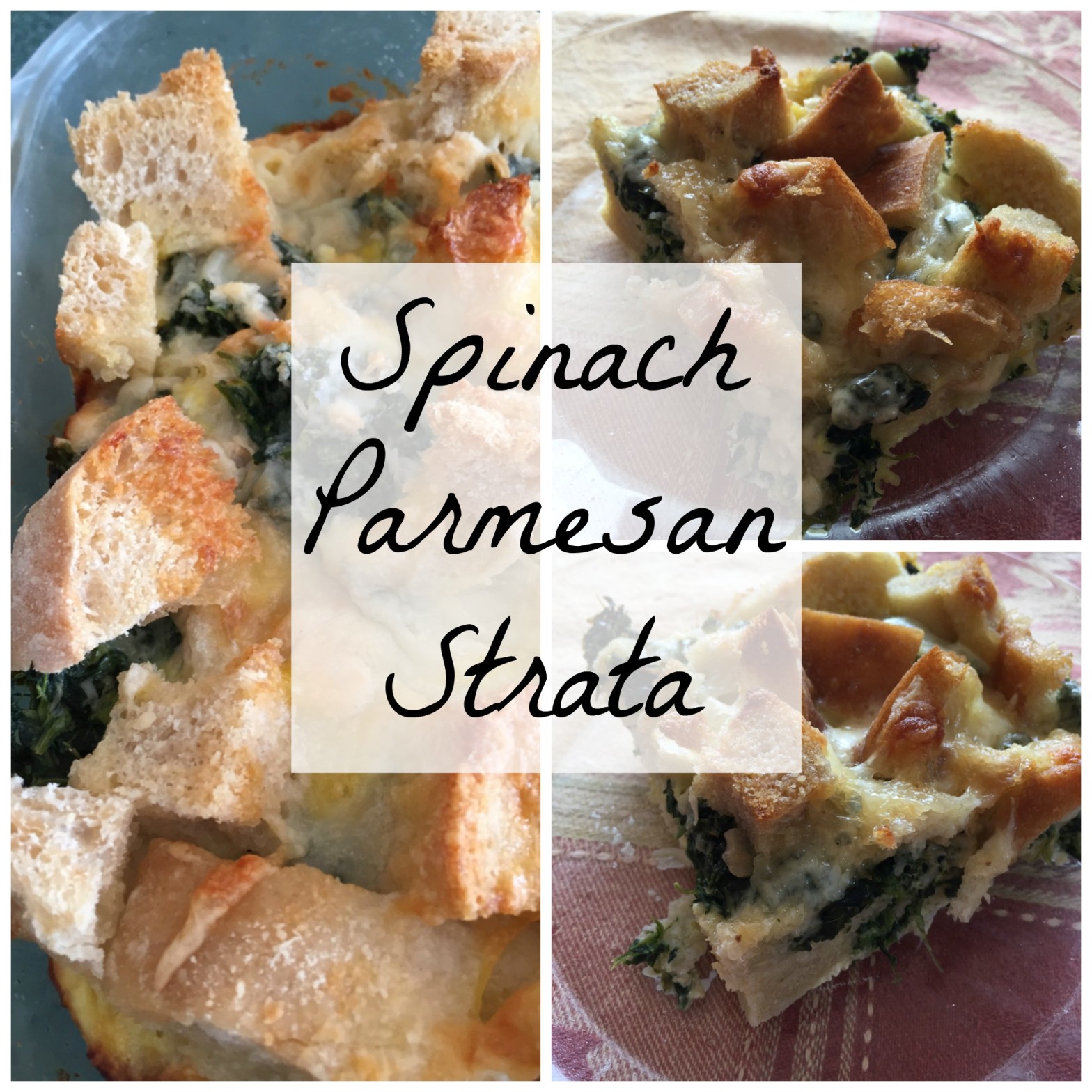 spinach parmesan strata