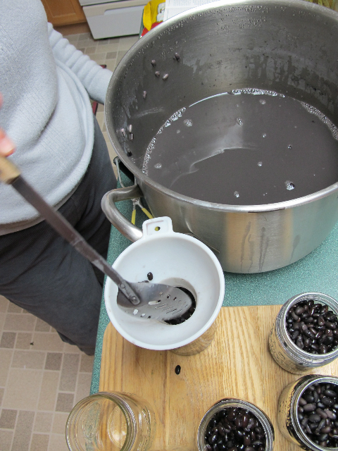 canning jars, beans, prudent pantry