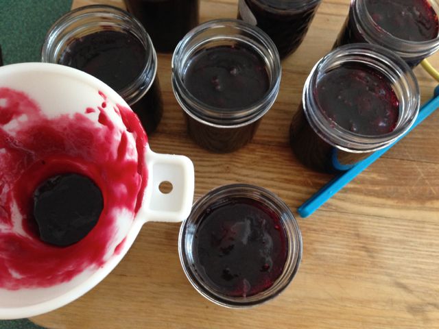 Ladle hot jelly into sterilized jars.