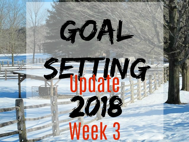 goal-setting 3