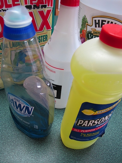 Ingredients for a simple window cleaner. household cleaners, homemade, prudent pantry