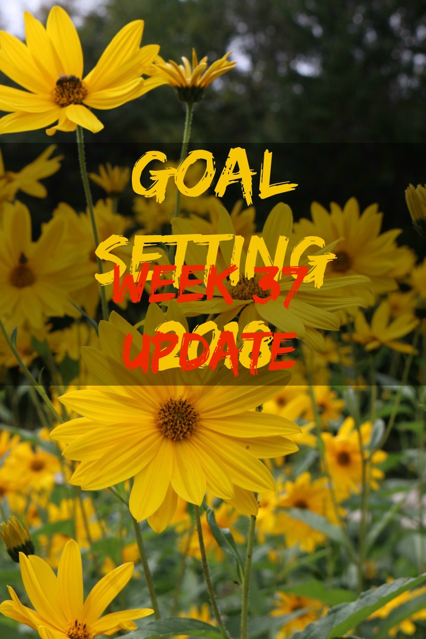 Goal Setting