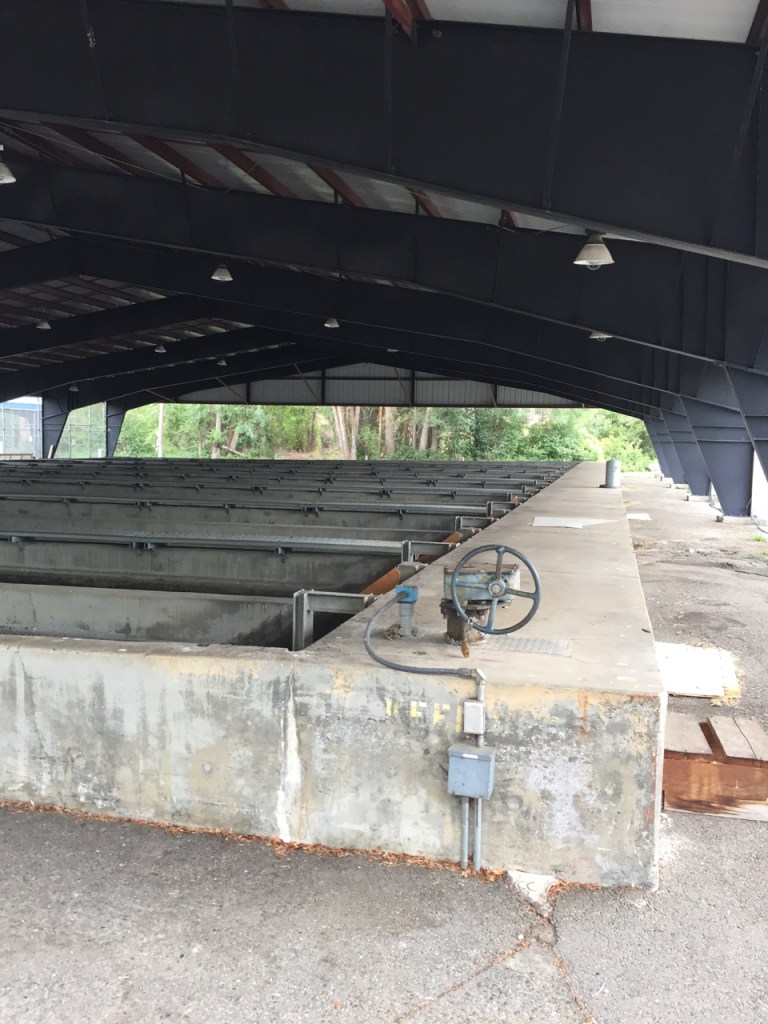 exploring Winthrop Washington