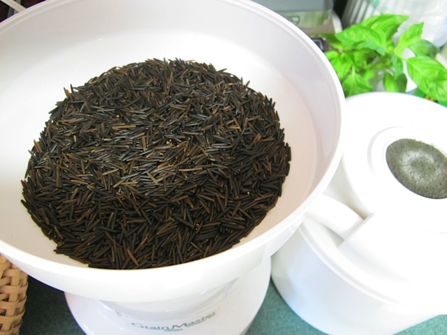 Grinding the wild rice into flour. whole grains, prudent living