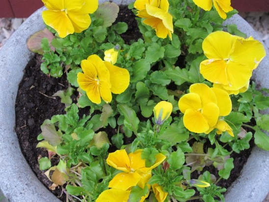  Tips To Selling your House