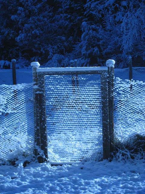 The garden has been put to bed!