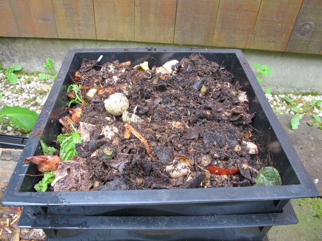 I am very pleased with the progress!