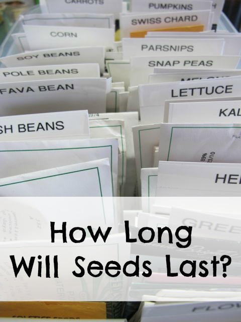 How Long Will Seeds Last