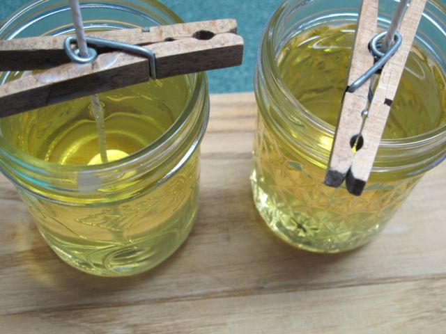 Carefully fill the jars with the hot wax.