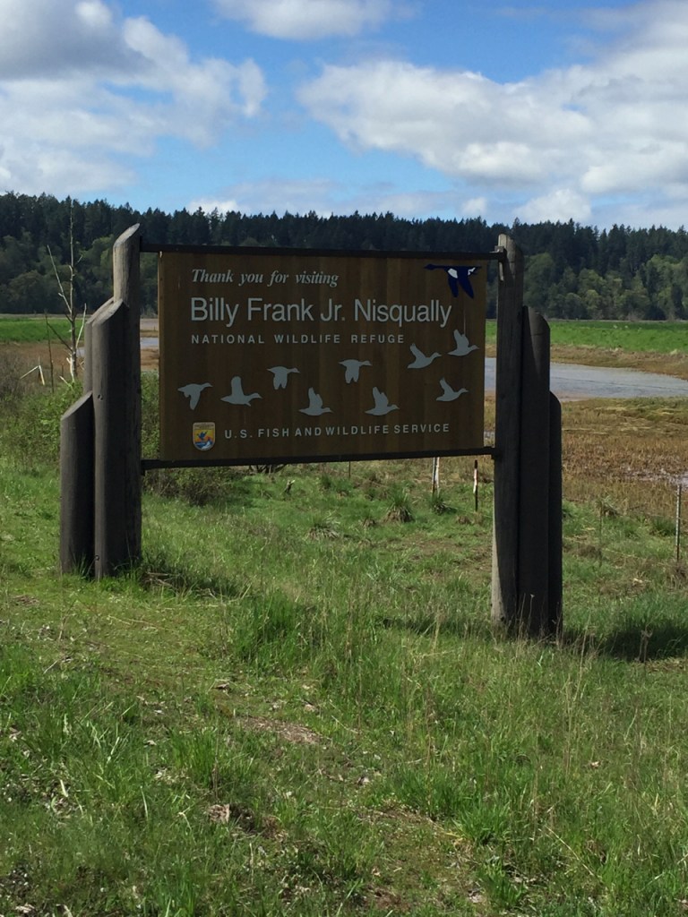 Exploring the Nisqually National Wildlife Refuge