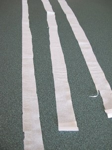 seed tape, vegetable seeds, planting