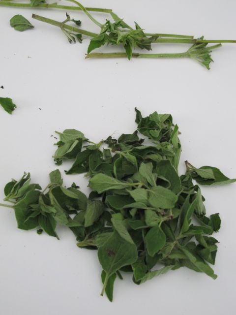 Fresh herbs ready for cooking!