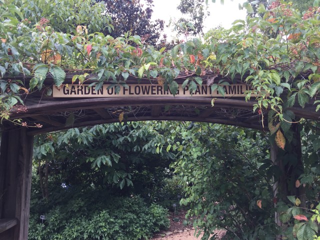 North Carolina Botanical Garden