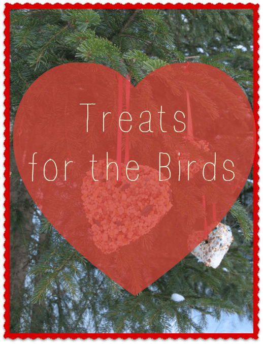 Treats for the Birds