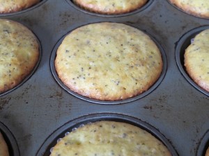homemade muffins, lemon, poppy seeds