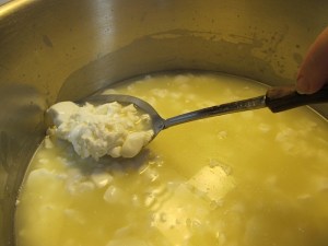 Stirring the curds. cheese making, prudent living, frugal tips