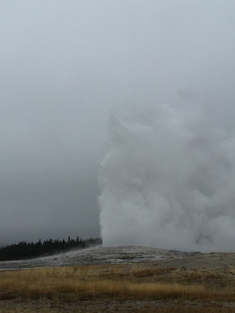 Old Faithful 
