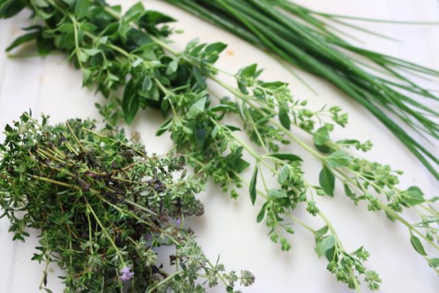 fresh herbs