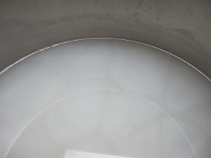 homemade liquid soap, prudent living