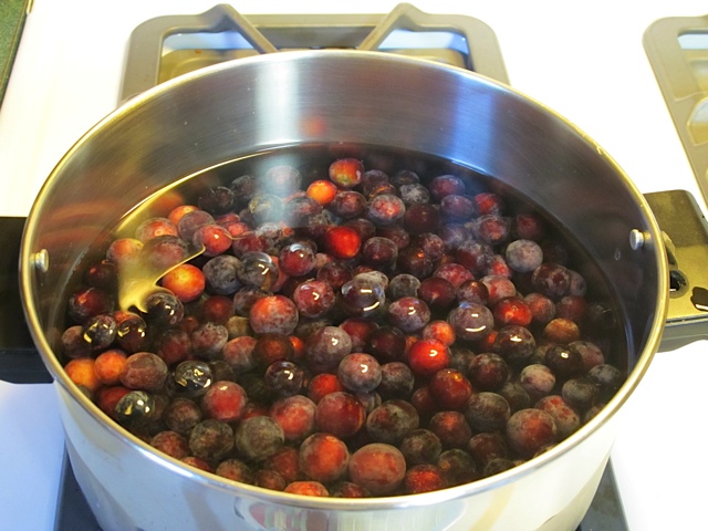 Cover beach plums with water. jelly, prudent pantry