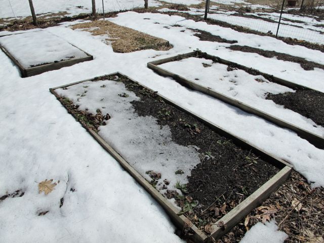 Raised beds in the garden.