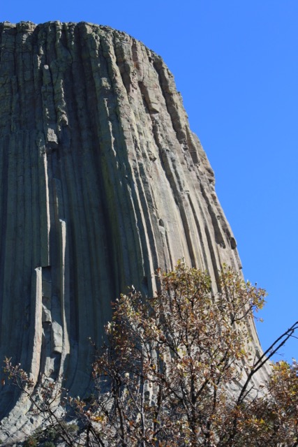 Devil's Tower