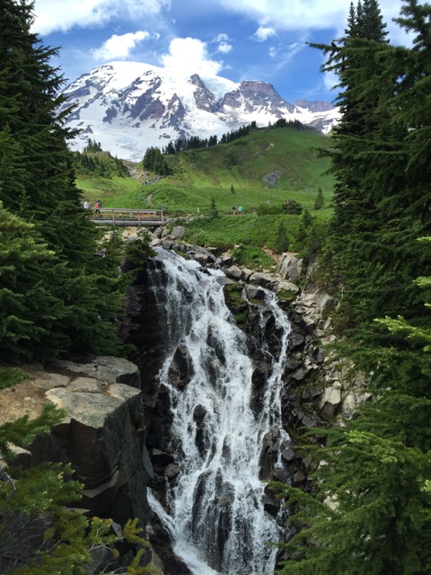 Mt. Rainier