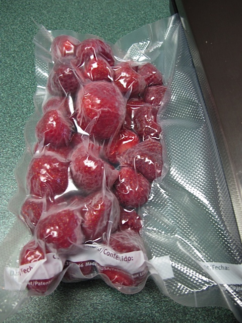 Sealing strawberries with a FoodSaver. preserving, prudent living