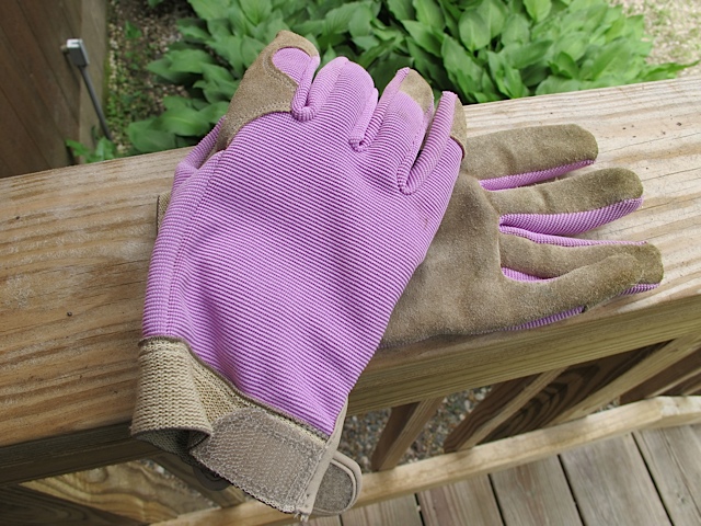 Why-gardening-is-good-for-you