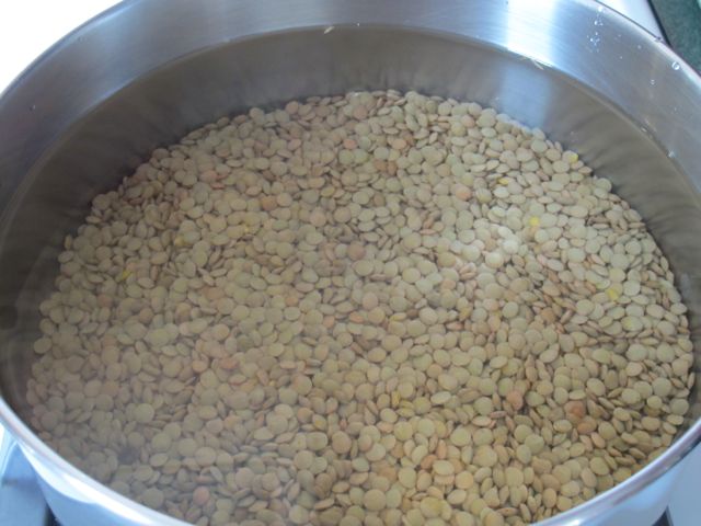 Soak lentils