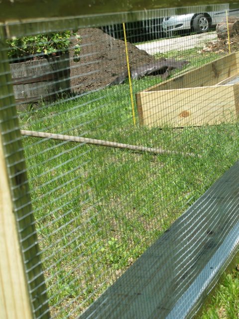 Creating a new herb garden.