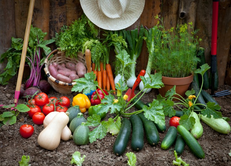 Garden vegetables