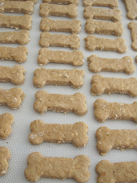 Biscuits homemade dog biscuits