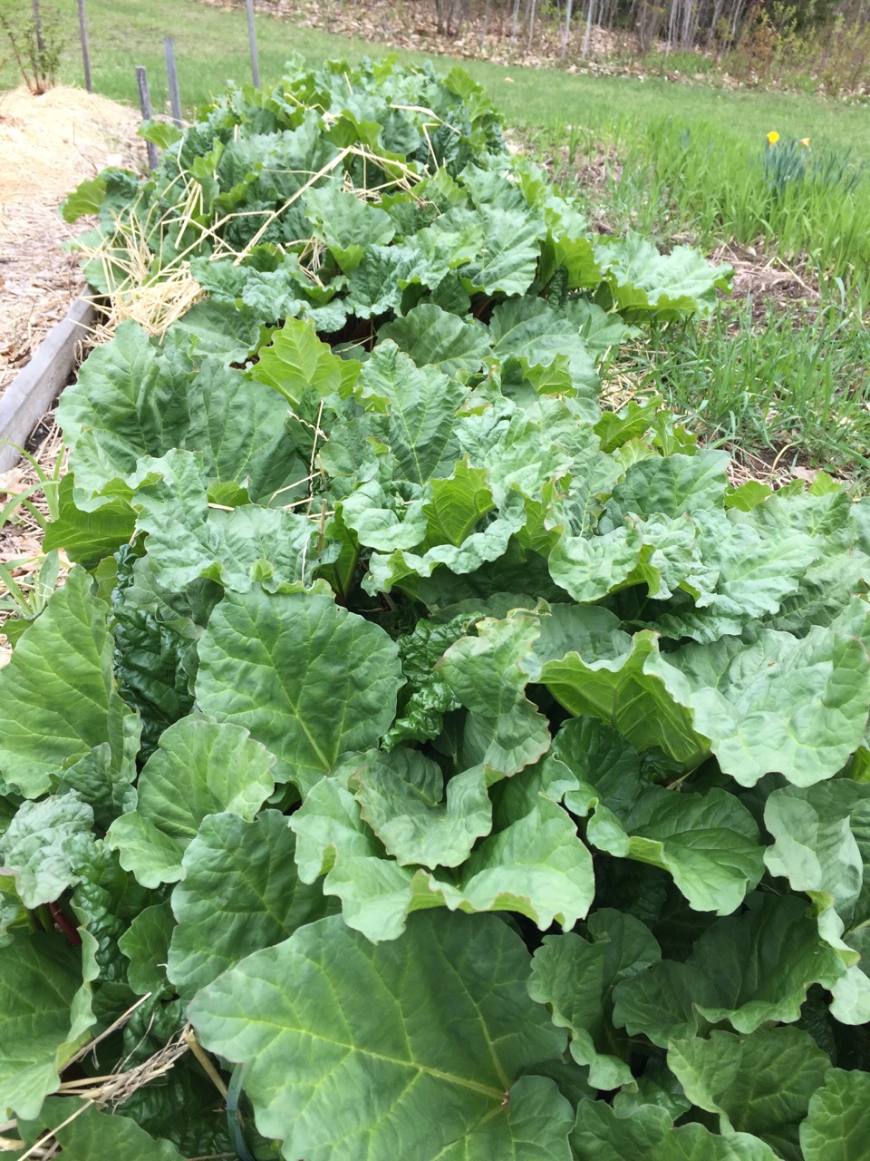 May Gardens